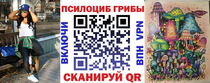 купить закладку  блэк спрут сайт  Псилоцибиновые грибы GOLDEN TEACHER  Судак 