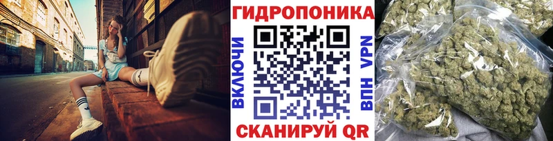 Шишки марихуана Bruce Banner  наркота  Судак 